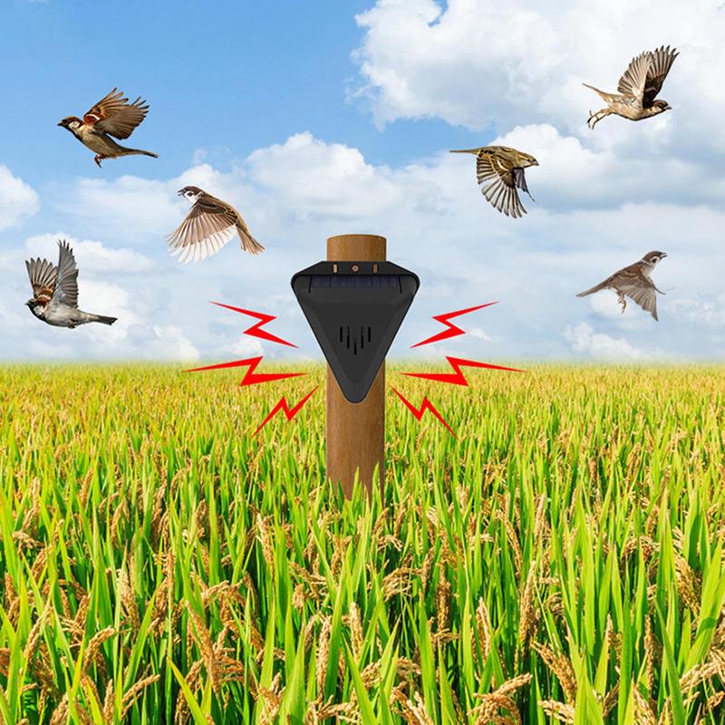 Waterproof Solar bird repeller - Fish Alarm recensione e prezzo